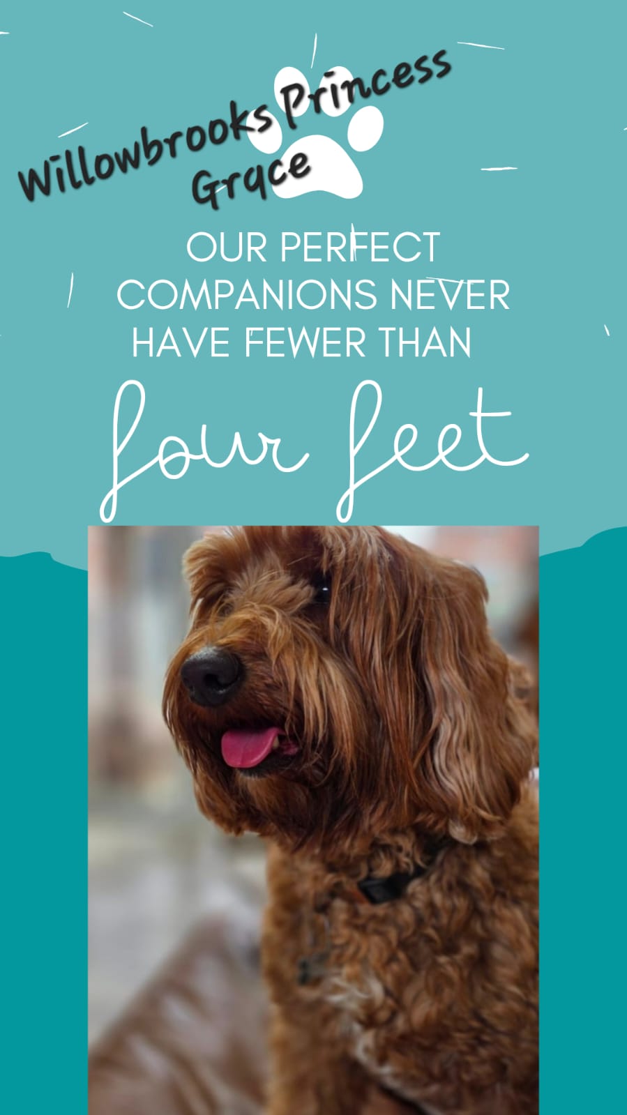 WhatsApp Image 2026-04-03 at 15.18.26